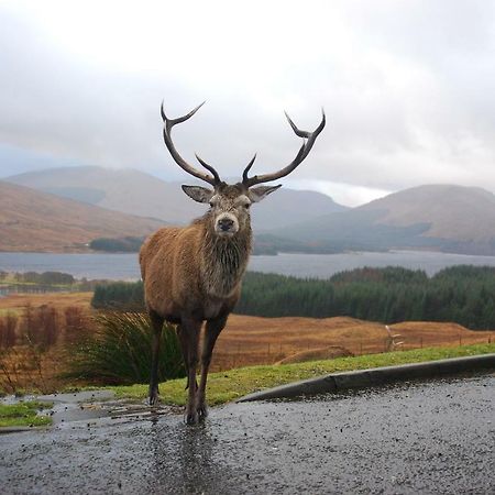 Clifton Cottage B&B Tyndrum Zewnętrze zdjęcie